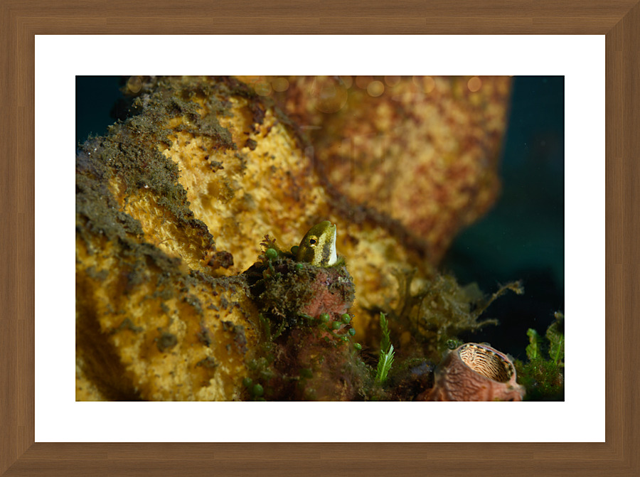 Philipines 282 Picture Frame print