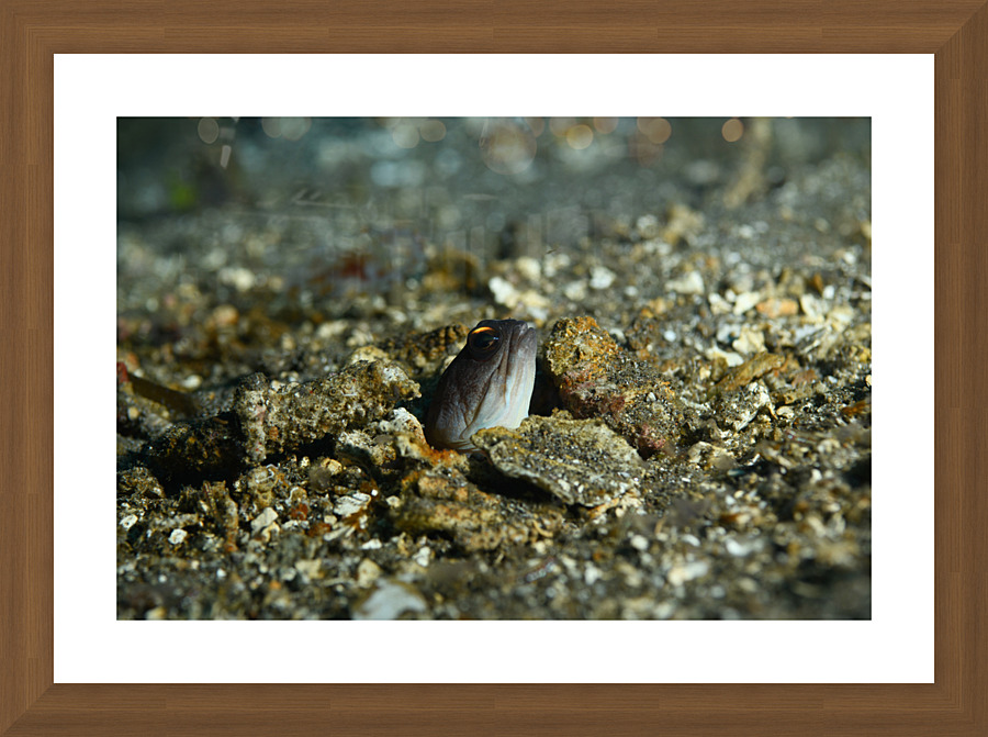 Philipines 287 Picture Frame print
