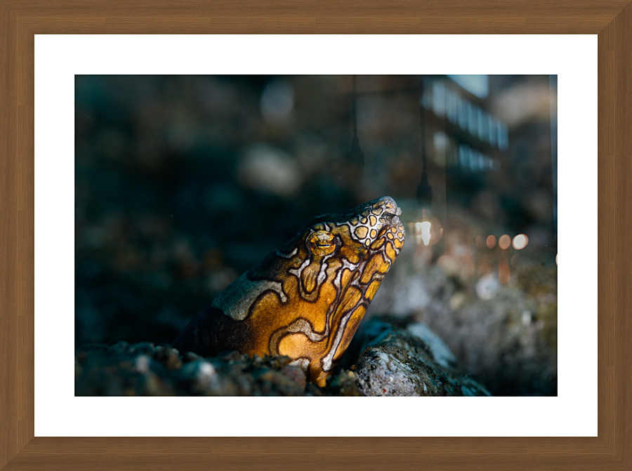 Philipines 351 Picture Frame print