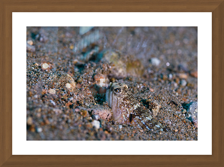 Philipines 357 Picture Frame print