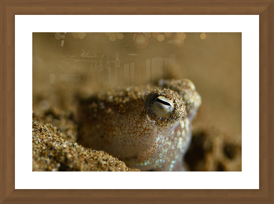 Philipines 331 Picture Frame print