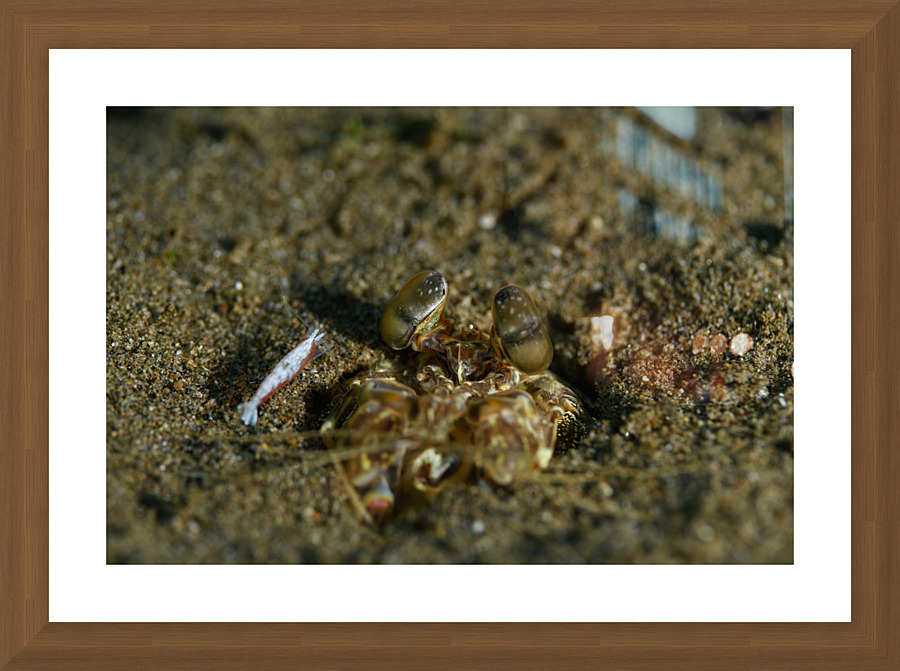 Philipines 292 Picture Frame print