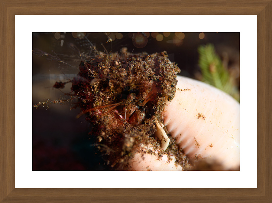 Philipines 299 Picture Frame print