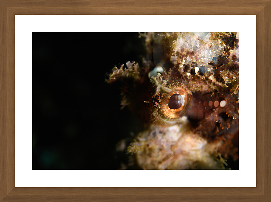Philipines 343 Picture Frame print