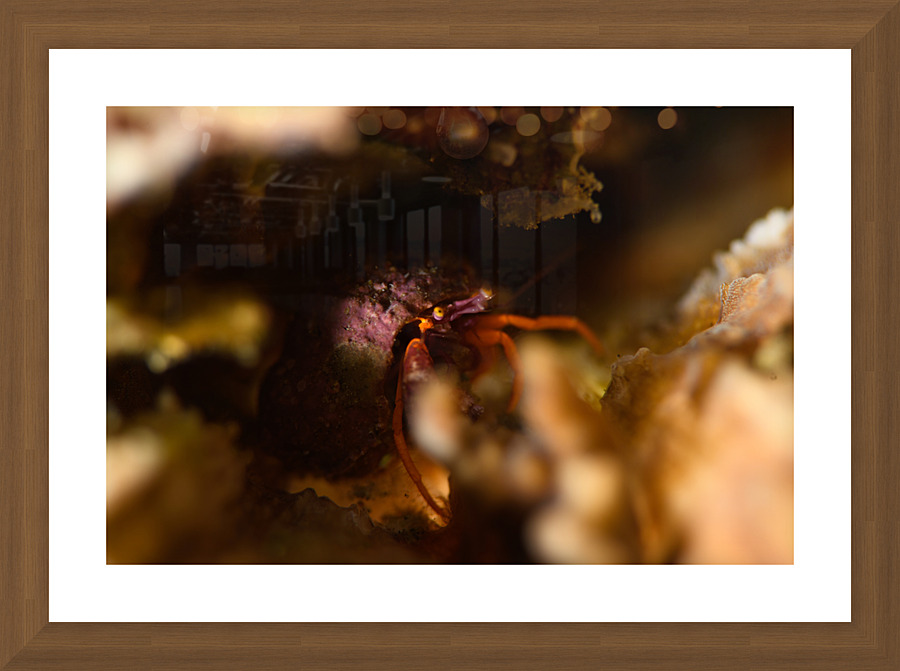 Philipines 392 Picture Frame print