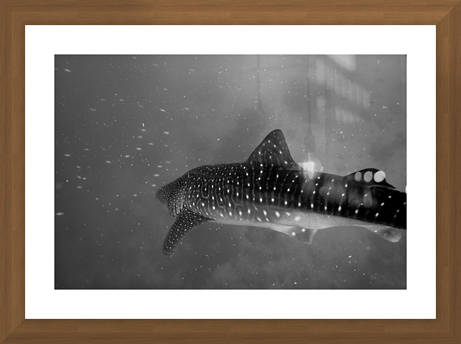 Philipines 407 Picture Frame print