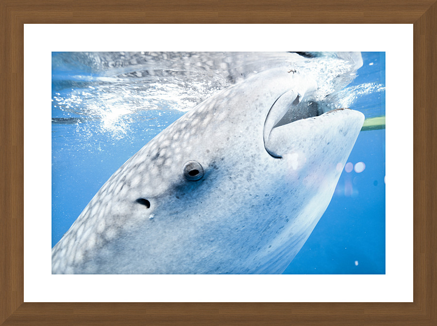 Philipines 419 Picture Frame print