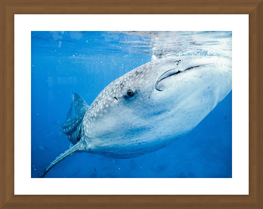Philipines 417 Picture Frame print