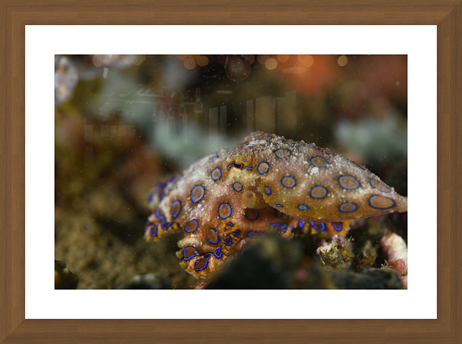 Philipines 378 Picture Frame print