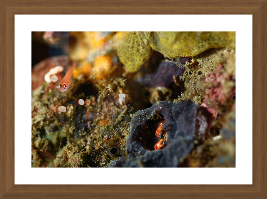 Philipines 375 Picture Frame print