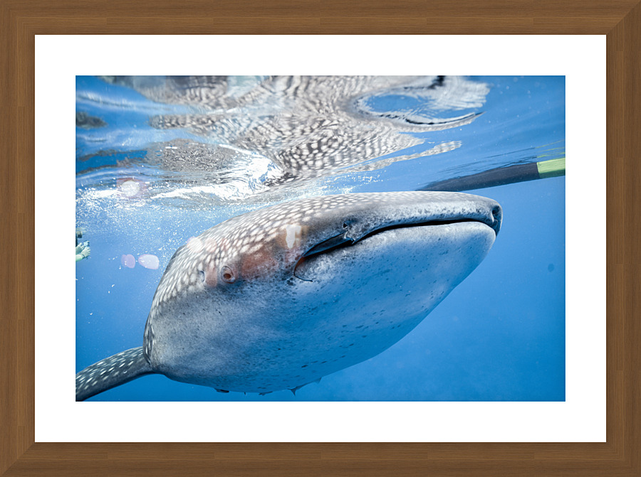 Philipines 413 Picture Frame print
