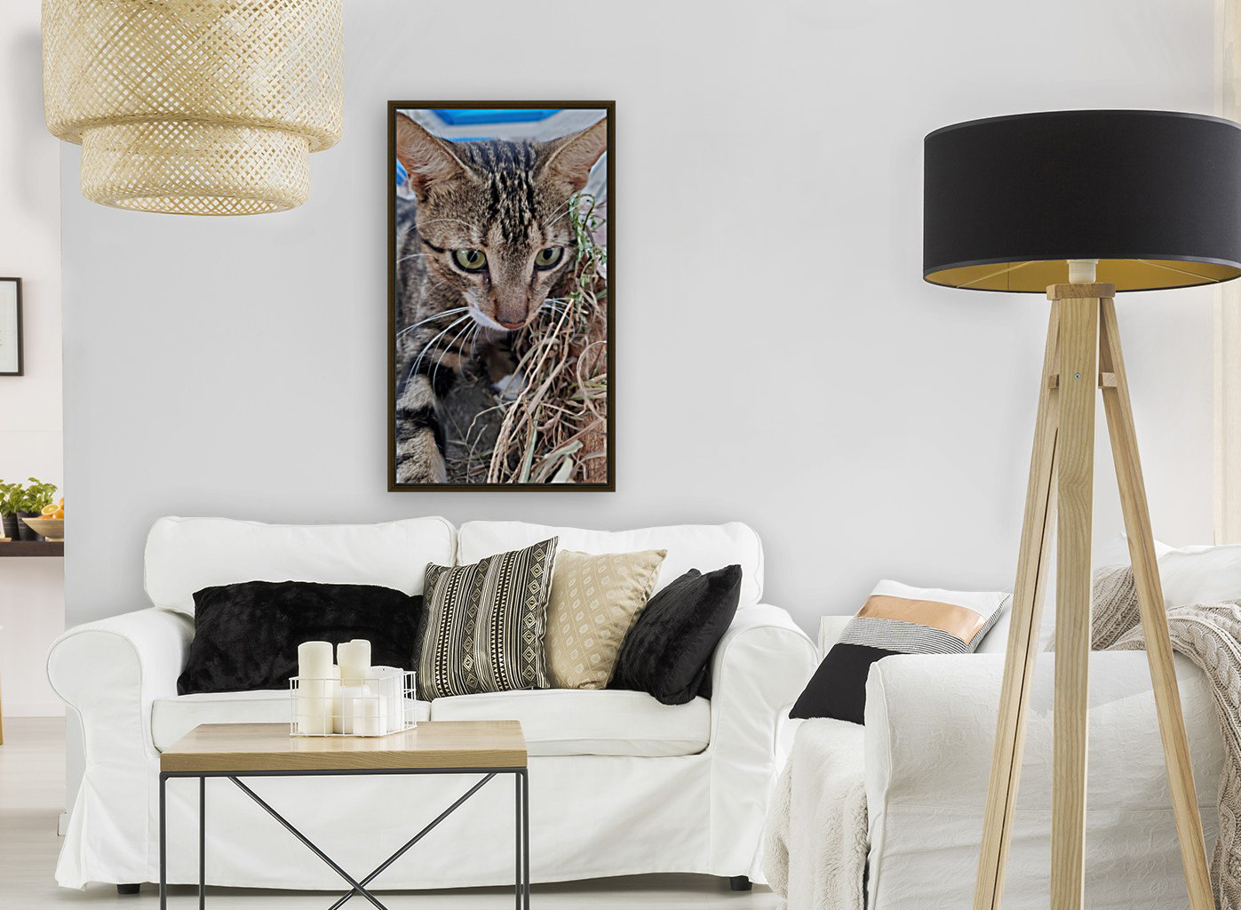 cat 2 Reproduction