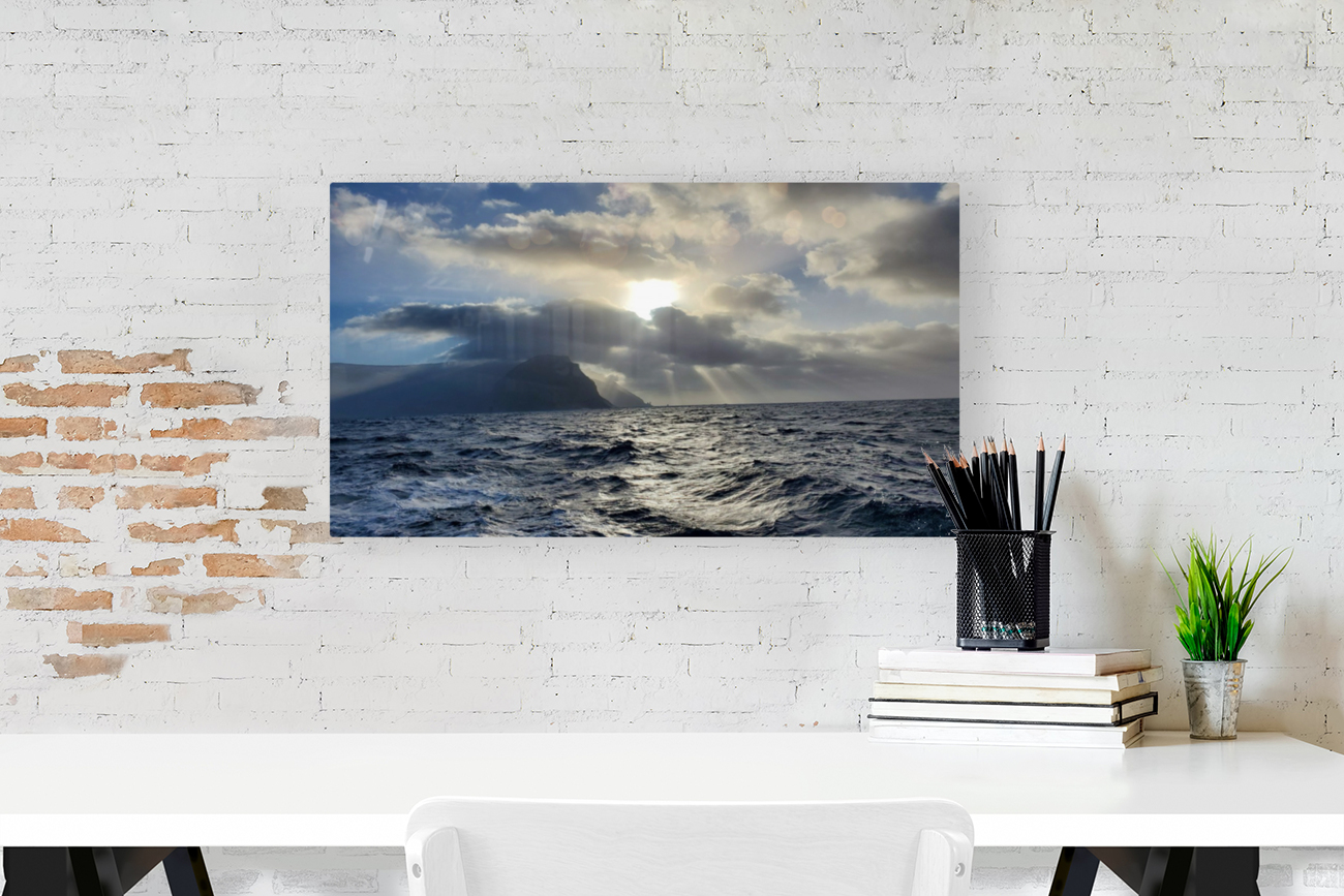 Ocean View Reproduction