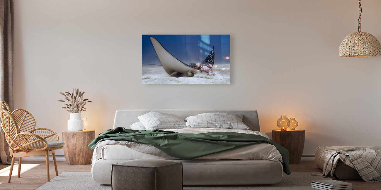 Eagle Ray Reproduction