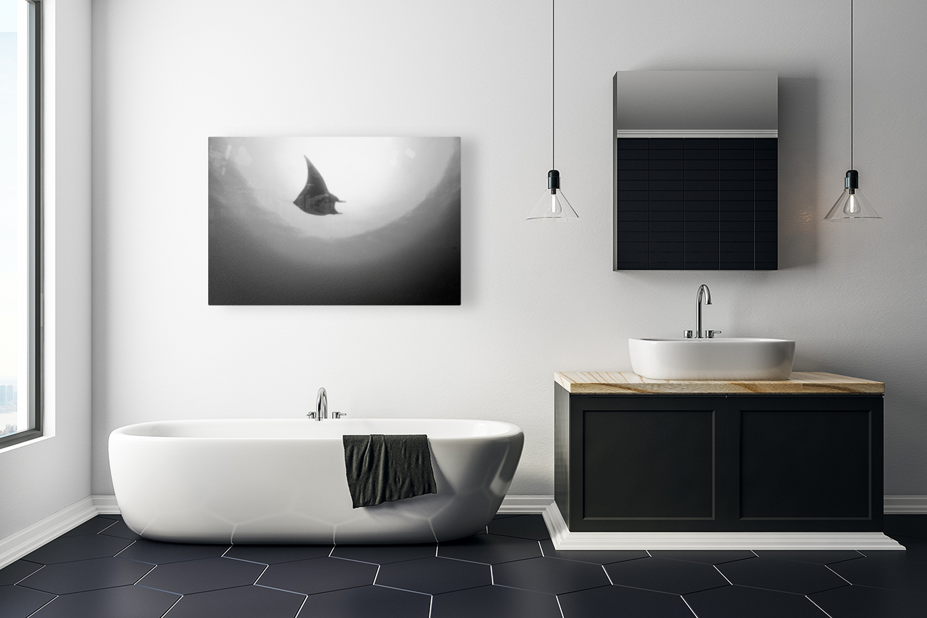 Manta B&W Reproduction