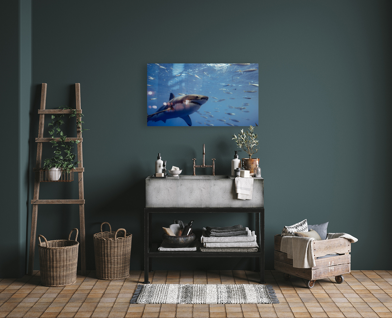 Great White Close Reproduction