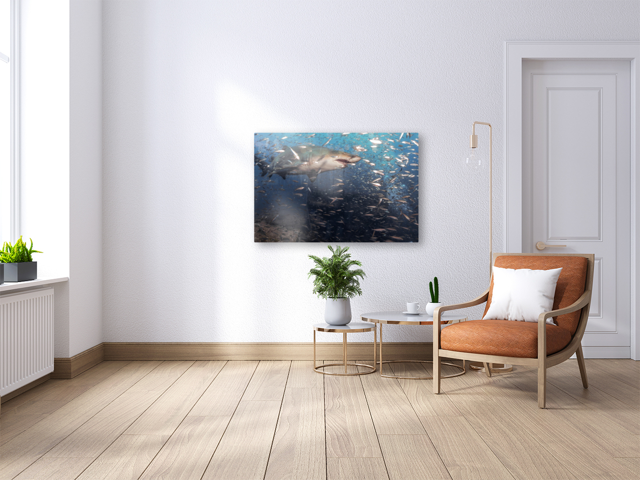 Sand Tiger Close Reproduction