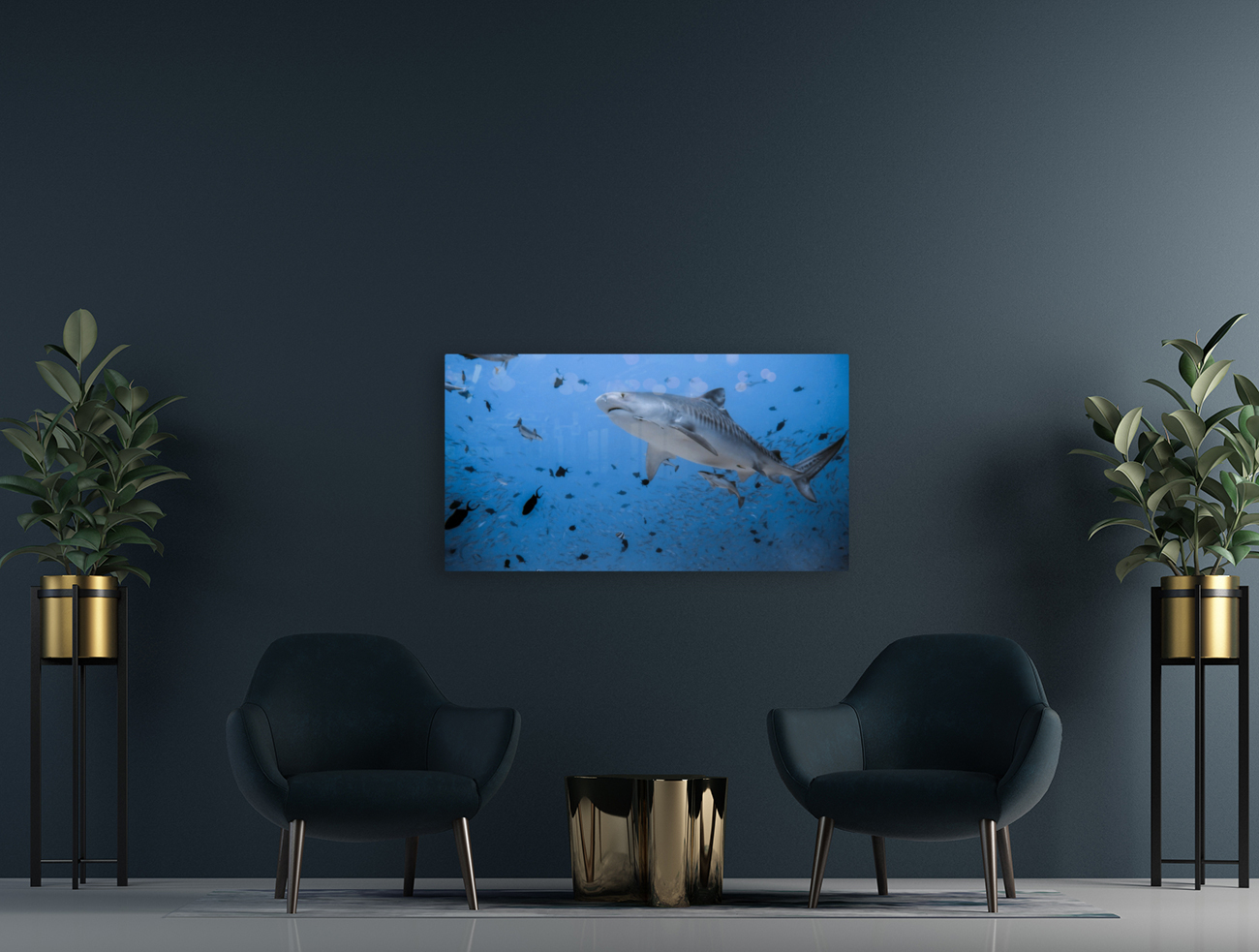 Tiger Shot Reproduction