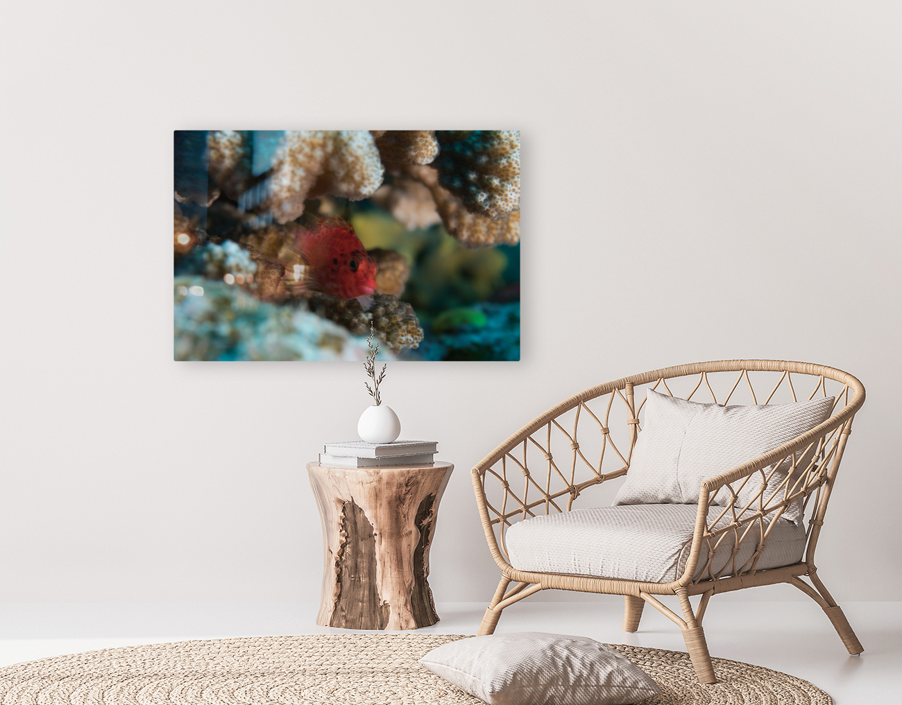 Red Fishy Reproduction