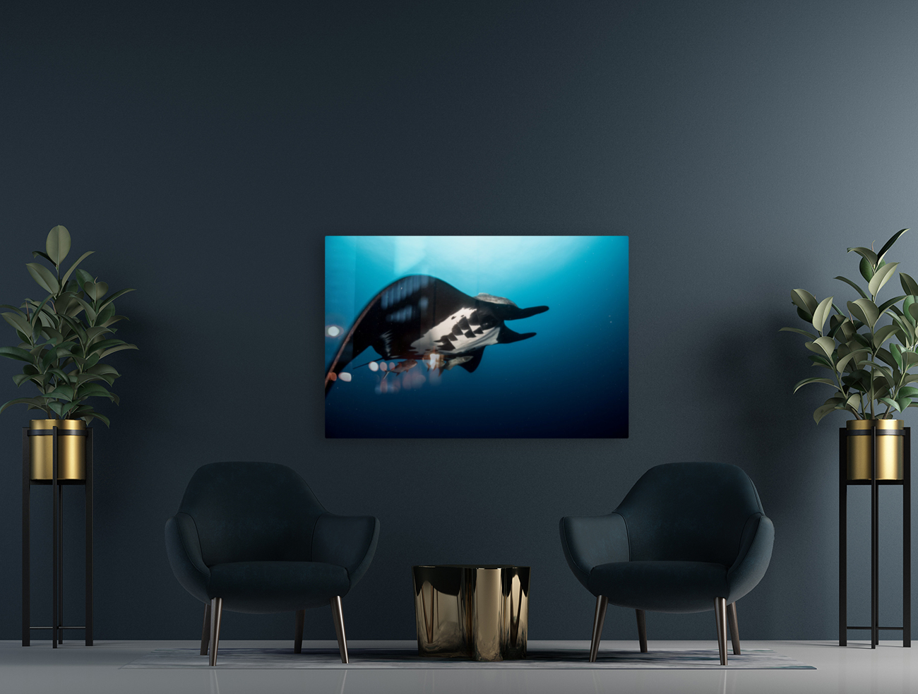 Manta Close Reproduction