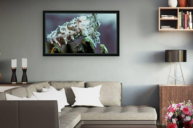 Cuttlefish by Michael Brown