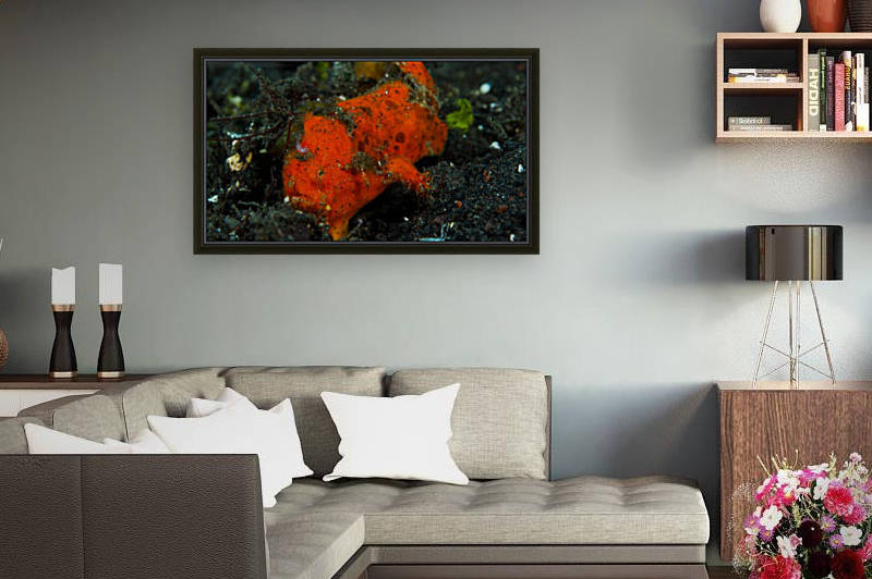 Frog Fish Red by Michael Brown