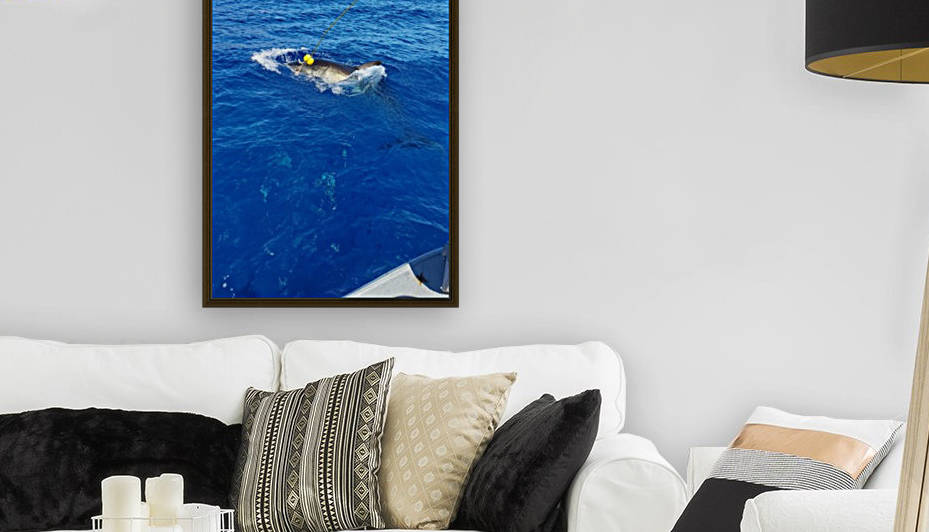 Great White by Michael Brown