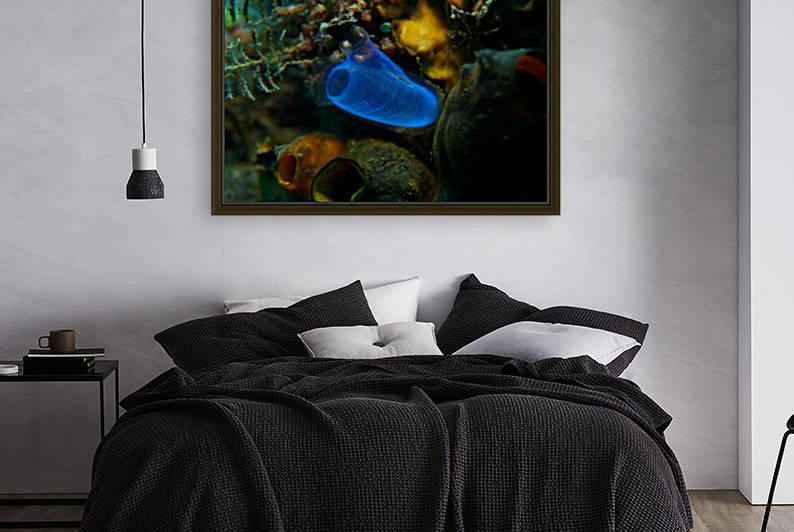 Sponge by Michael Brown