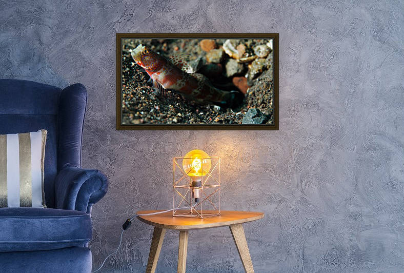 Gobi and Shrimp by Michael Brown