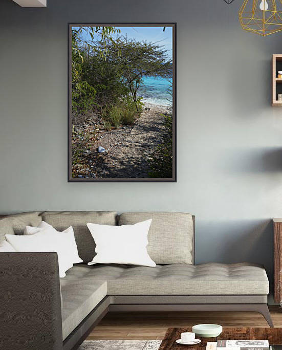 Bonaire Pathway by Michael Brown