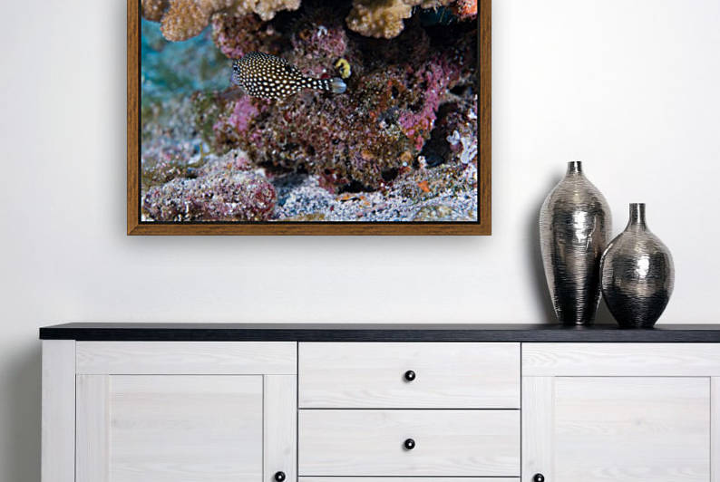 Fish Butt by Michael Brown