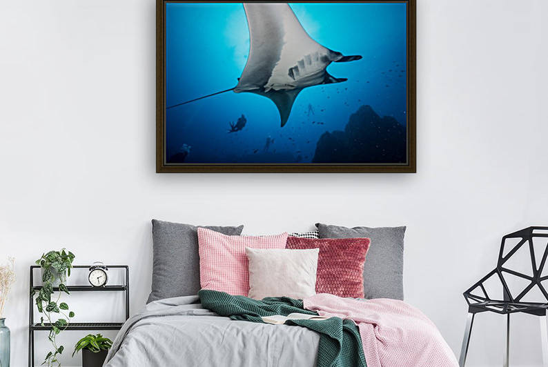 Manta bottom by Michael Brown