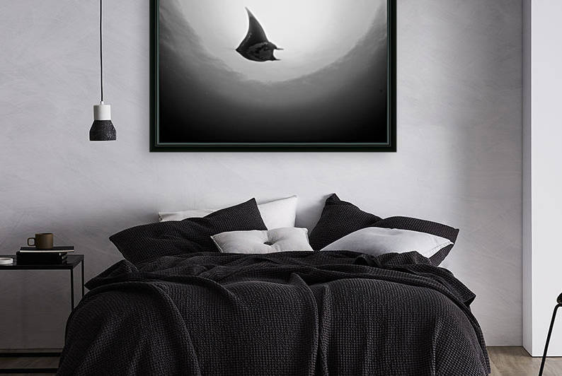 Manta B&W by Michael Brown
