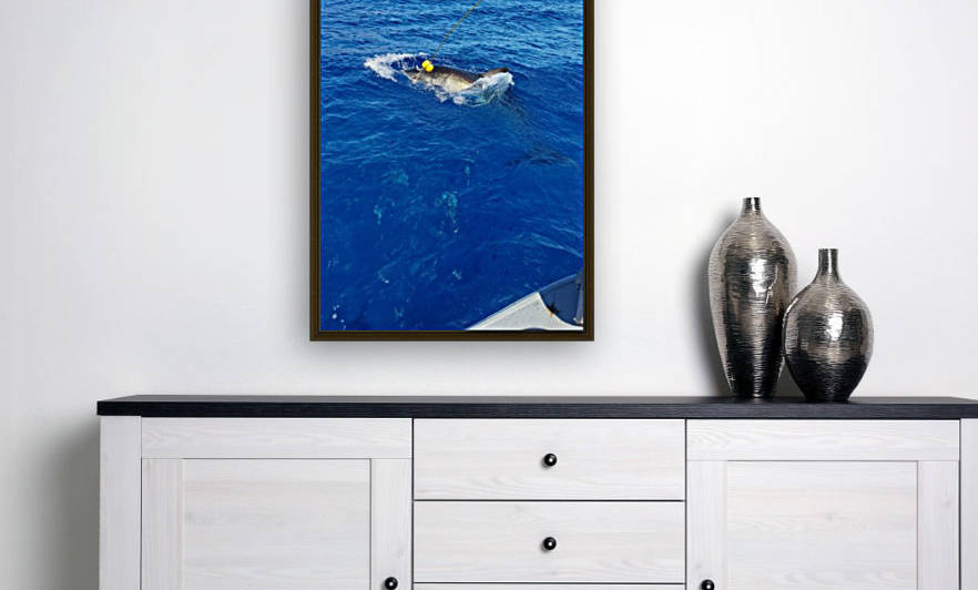 Great White Attack Reproduction