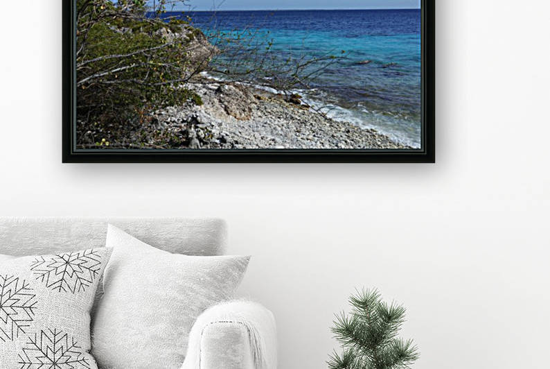Bonaire Beach Scape by Michael Brown