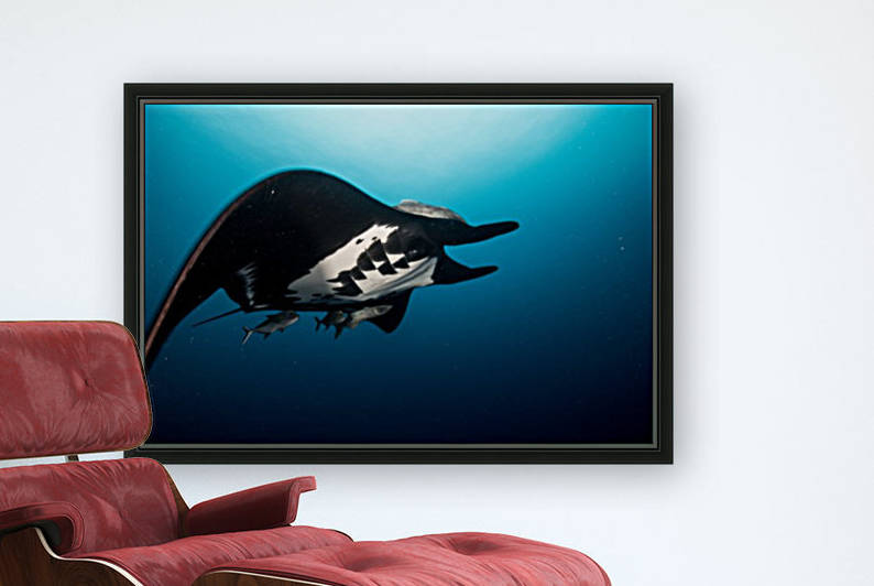 Manta Close by Michael Brown