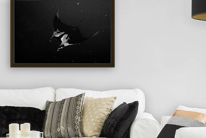 Mantas by Michael Brown