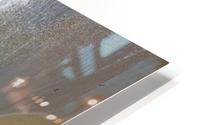 Beach View HD Metal print