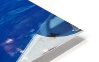 Great White HD Metal print