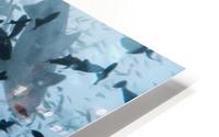 Group Sharks HD Metal print