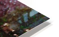 Philipines 49 HD Metal print