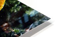 Philipines 22 HD Metal print