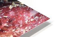Philipines 1 HD Metal print