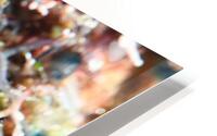 Philipines 50 HD Metal print