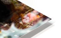 Philipines 35 HD Metal print