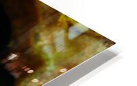 Philipines 38 HD Metal print