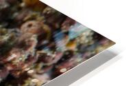 Philipines 87 HD Metal print