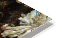 Philipines 93 HD Metal print