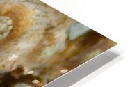 Philipines 120 HD Metal print