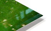 Philipines 153 HD Metal print